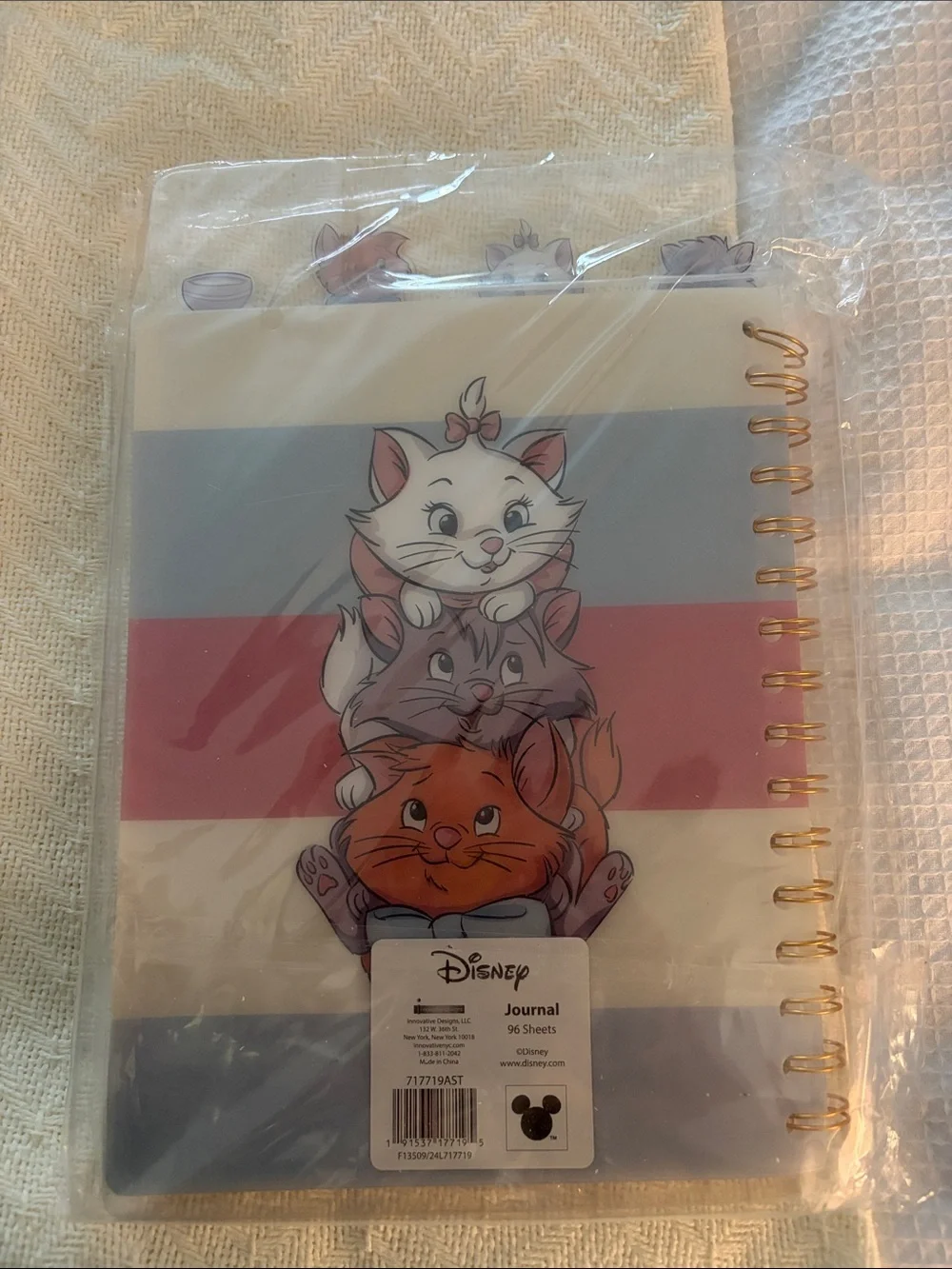 Disney spiral journal